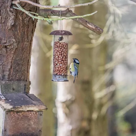 Σπίτι διακοπών 2 Bed In Oc-ii05062